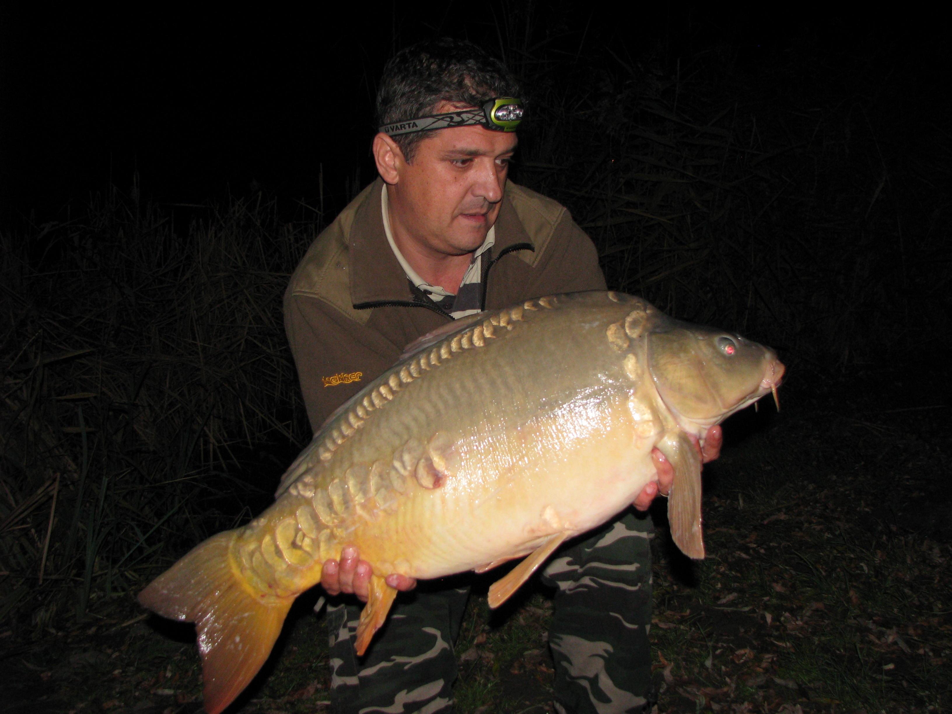 capturi - IMG_2754.JPG